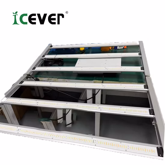 Redfarm Hydroponiksystem Indoor-Anbausystem Kommerzielle LED-Wachstumslichter 1000-W-Bud-Booster-Licht